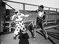 Colima Clown.jpg