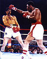 Cooney vs Young.jpg