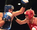 Cotto-Abdullaev 81713387.jpg