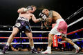 Cotto-Canelo 498234310.jpg