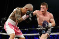 Cotto-Canelo 498234376.jpg