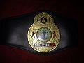 Cpd Boxing Belt.jpg