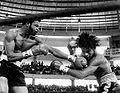 DURAN-RAY-LAMPKIN.jpg