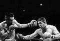 DURAN vs Camacho IBC.jpg