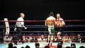 D Nelson ref Lomeli vs Evgen MN UsA.jpg