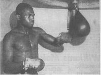 File:Dalfus brown.JPG