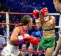 Dan Van ref Regina Halmich vs Hollie Dunaway.jpg