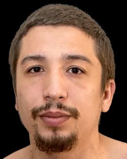 Daniel Badulescu.jpeg