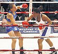 Thumbnail for version as of 00:49, 27 January 2012