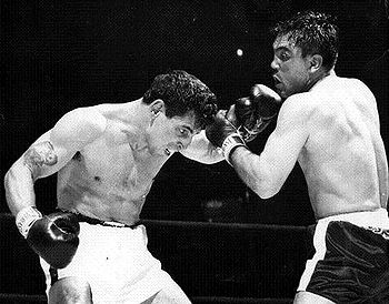 Danny Nardico vs Robert Villemain . 455 . Fasan.jpg