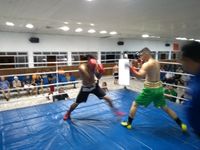 File:Davi Velho vs. Edson Alves Morales (11).jpg