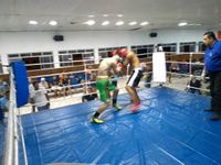 File:Davi Velho vs. Edson Alves Morales (17).jpg