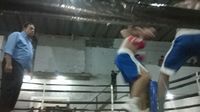 File:Davidson Tedim vs. Rubens Henrique Dos Santos (06).jpg