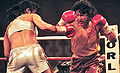 Thumbnail for version as of 17:14, 15 January 2012