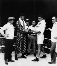 File:Dempsey Firpo BE053601.jpg