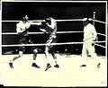 Thumbnail for version as of 16:05, 14 November 2010