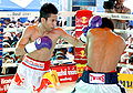 Thumbnail for version as of 03:43, 28 December 2011