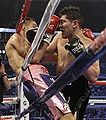 Diaz On Attack ropes.JPG