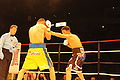 Dib-ibf-5.JPG