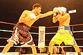 Dib-vs-Servidei-IBF-photo.jpg