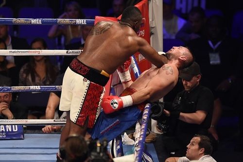 Dillian Whyte vs. Ivica Bacurin.jpg
