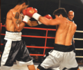 Thumbnail for version as of 19:05, 18 February 2011