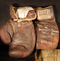 File:Docusen - Robinson fight gloves.jpg
