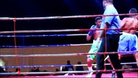 File:Dodzi Kemeh vs. Francis Appalo 011.jpg