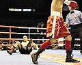 Donaire-downs-Martinez-IBF-IBO-titles.jpg