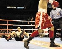 File:Donaire-downs-Martinez-IBF-IBO-titles.jpg