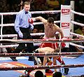 Donaire-martinez IBF IBO defense.jpg