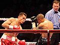 Donaire-martinez IBF IBO titles-on-the-line-.jpg