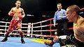 Donaire-martinez IBF IBO titles.jpg