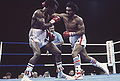 Duran-LeonardI81443975.jpg