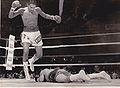 Duran-Rojas.jpg