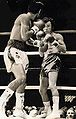 Duran-Rojas 2093503 0.jpg