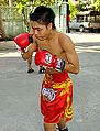 Thumbnail for version as of 00:53, 7 January 2012