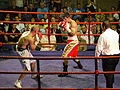 Thumbnail for version as of 07:38, 11 September 2011