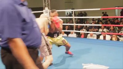 Edelson dos Santos Silva vs. Rodolfo Franz 067.jpg