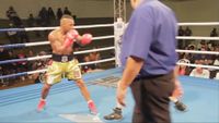 File:Edelson dos Santos Silva vs. Rodolfo Franz 068.jpg