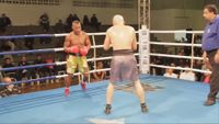 File:Edelson dos Santos Silva vs. Rodolfo Franz 099.jpg