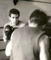 Eder-103.jpg