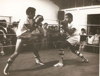 File:Eder-119.jpg