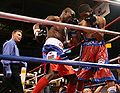 Edner-cherry-UIC.jpg