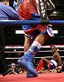 Edner-cherry-down-UIC-Chgo IL Usa.jpg