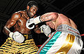Thumbnail for version as of 23:07, 10 March 2013