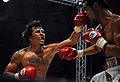 Edwin Valero vs. Hector Velasquez.jpg