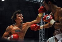 File:Edwin Valero vs. Hector Velasquez.jpg