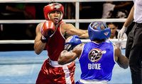 File:Emerson Costa vs. Vinicius Leite.jpg