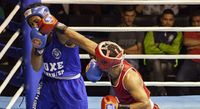 File:Emerson Faria vs. Rafael Araujo.jpg